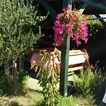 Sindi 公寓 洛帕