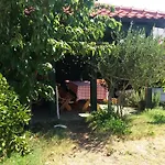 Sindi * לופאר